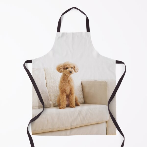 Item preview, Poodle Dog Sitting on the Couch designed and sold by VanGaldo.