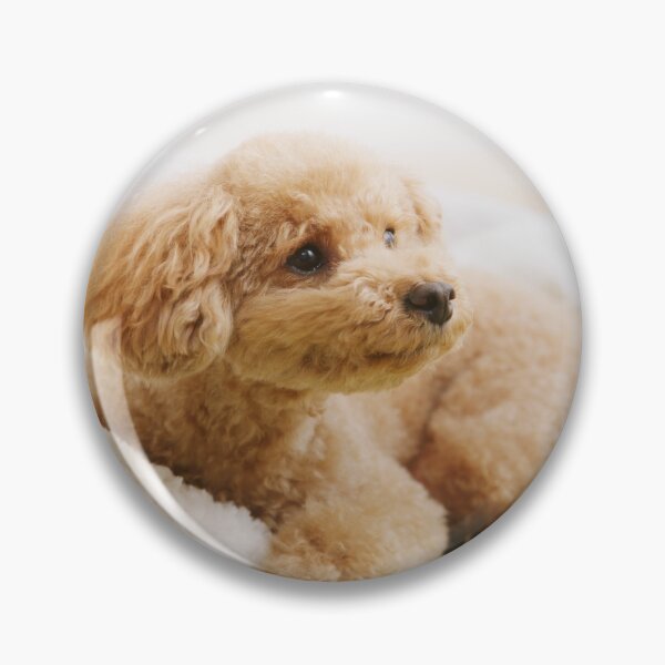 Item preview, Poodle Puppy Loves Pillow designed and sold by VanGaldo.