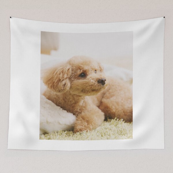Item preview, Poodle Puppy Loves Pillow designed and sold by VanGaldo.