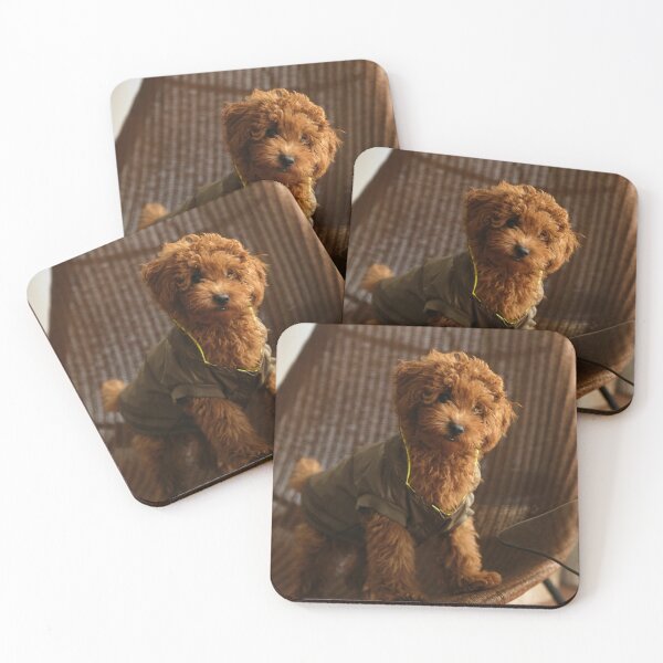 Item preview, Brown Poodle Puppy on the Chair designed and sold by VanGaldo.