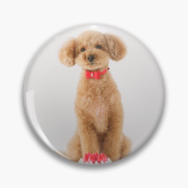 Item preview, Poodle Puppy Celebrating Birthday designed and sold by VanGaldo.