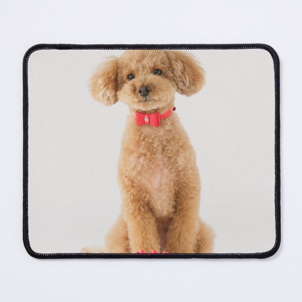 Item preview, Poodle Puppy Celebrating Birthday designed and sold by VanGaldo.