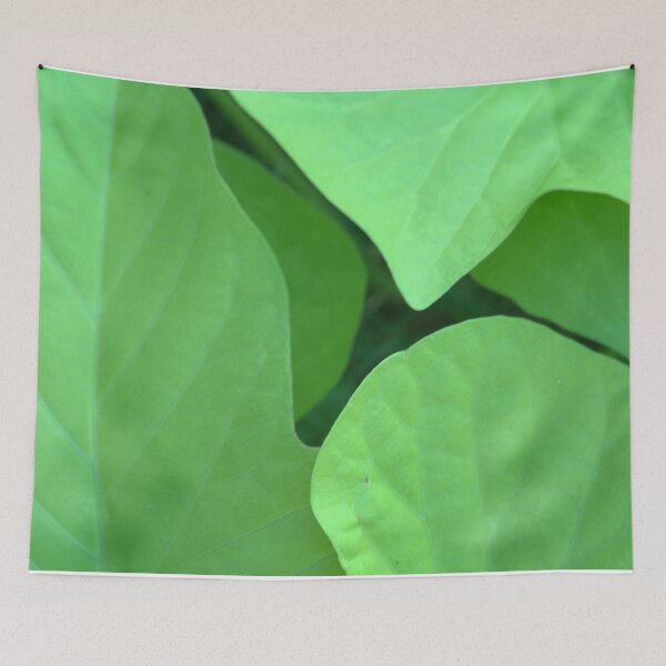 Item preview, Hojas de vid de batata gigantes, exuberantes y con forma de corazón designed and sold by Petalgrain.