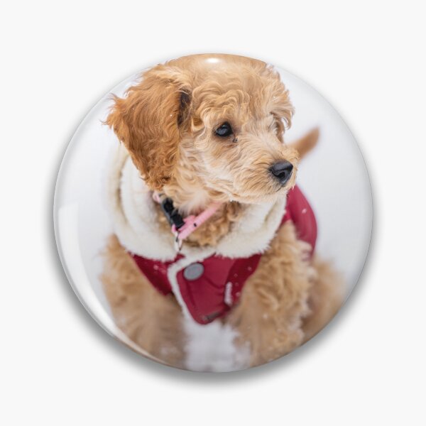 Item preview, Poodle Puppy with Red Dress and Snow designed and sold by VanGaldo.
