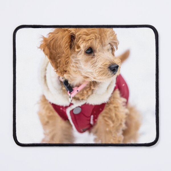 Item preview, Poodle Puppy with Red Dress and Snow designed and sold by VanGaldo.