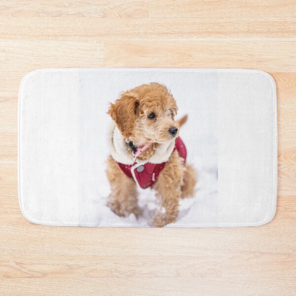 Item preview, Poodle Puppy with Red Dress and Snow designed and sold by VanGaldo.