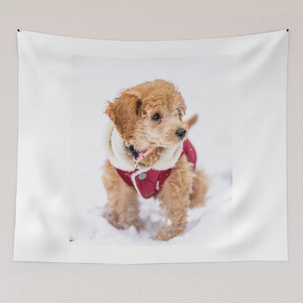 Item preview, Poodle Puppy with Red Dress and Snow designed and sold by VanGaldo.