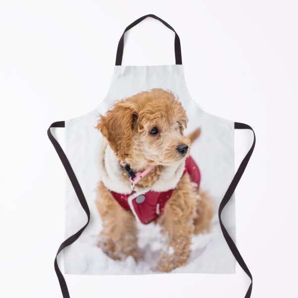 Item preview, Poodle Puppy with Red Dress and Snow designed and sold by VanGaldo.