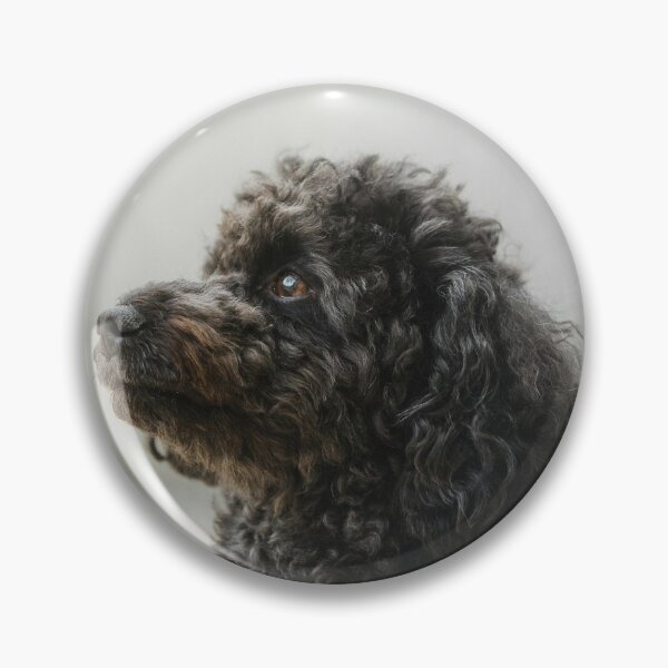 Item preview, Sideview Portrait of Poodle Dog designed and sold by VanGaldo.