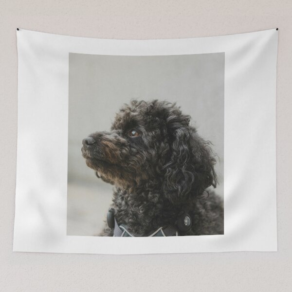 Item preview, Sideview Portrait of Poodle Dog designed and sold by VanGaldo.