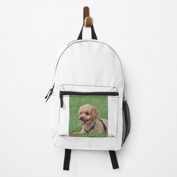 Item preview, Poodle Dog Relaxing after Playing designed and sold by VanGaldo.