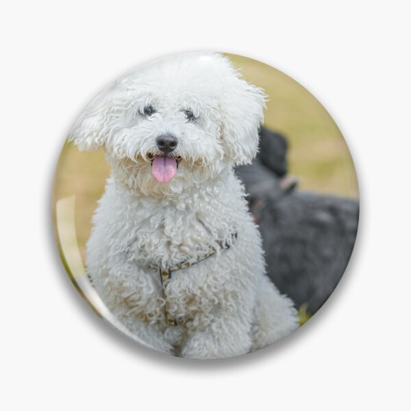 Item preview, Adorable Poodle Dog Chilling designed and sold by VanGaldo.