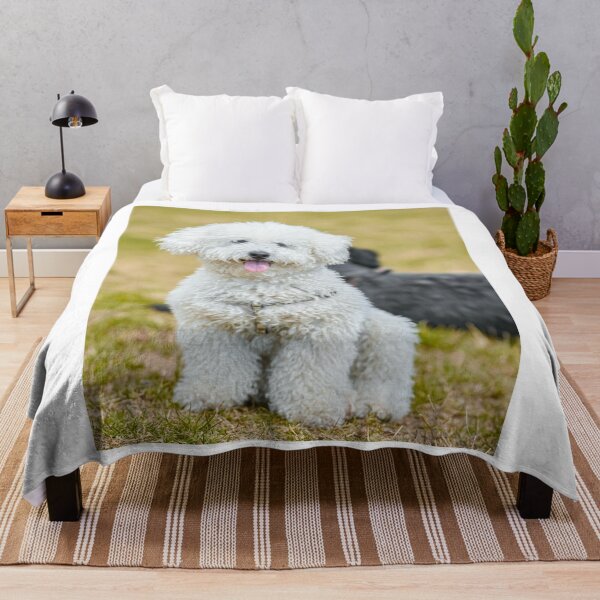 Item preview, Adorable Poodle Dog Chilling designed and sold by VanGaldo.
