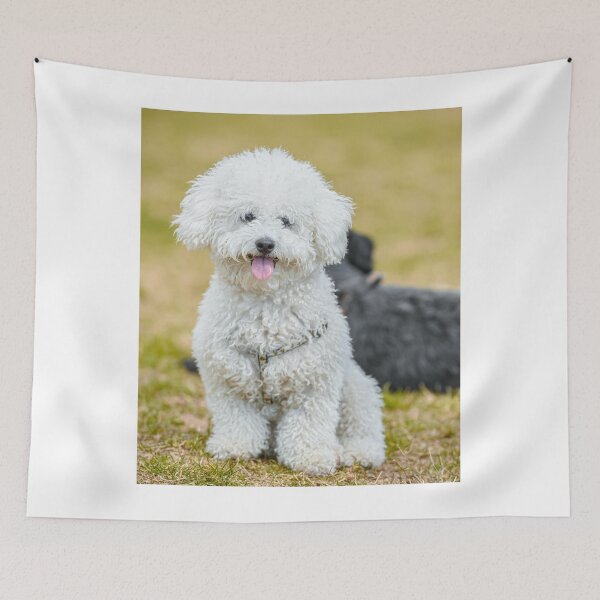 Item preview, Adorable Poodle Dog Chilling designed and sold by VanGaldo.