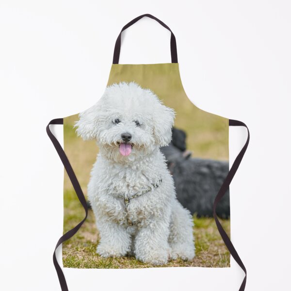 Item preview, Adorable Poodle Dog Chilling designed and sold by VanGaldo.