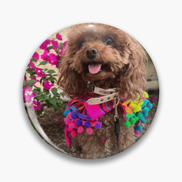 Item preview, Poodle Puppy with Beautiful Dress designed and sold by VanGaldo.