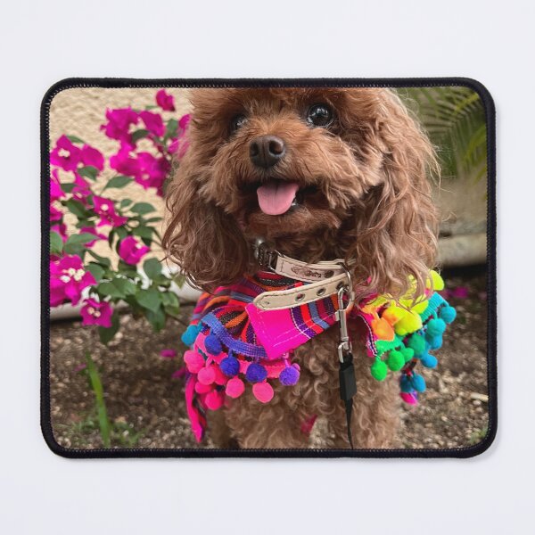 Item preview, Poodle Puppy with Beautiful Dress designed and sold by VanGaldo.
