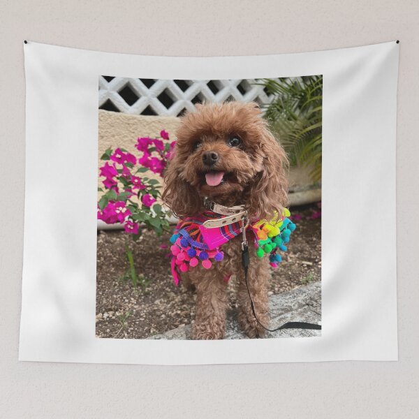 Item preview, Poodle Puppy with Beautiful Dress designed and sold by VanGaldo.