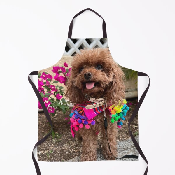 Item preview, Poodle Puppy with Beautiful Dress designed and sold by VanGaldo.