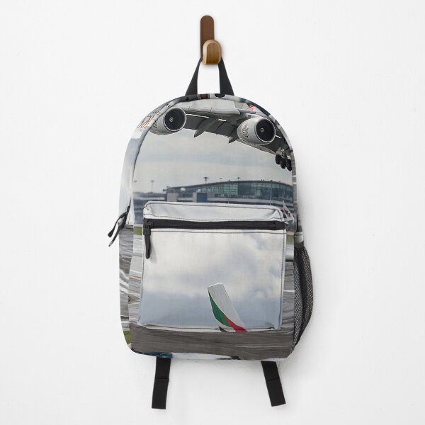 Item preview, Emirates Airbus A380 Graceful Landing designed and sold by Skyframe Aviation.