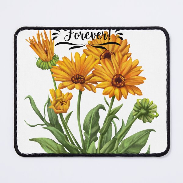 Item preview, Detailed Botanical Illustration of Bright Orange Calendula Flowers designed and sold by Ramya designs .
