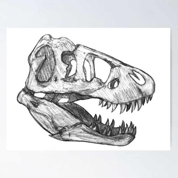 Item preview, T-Rex skull designed and sold by DoodleSnake58.