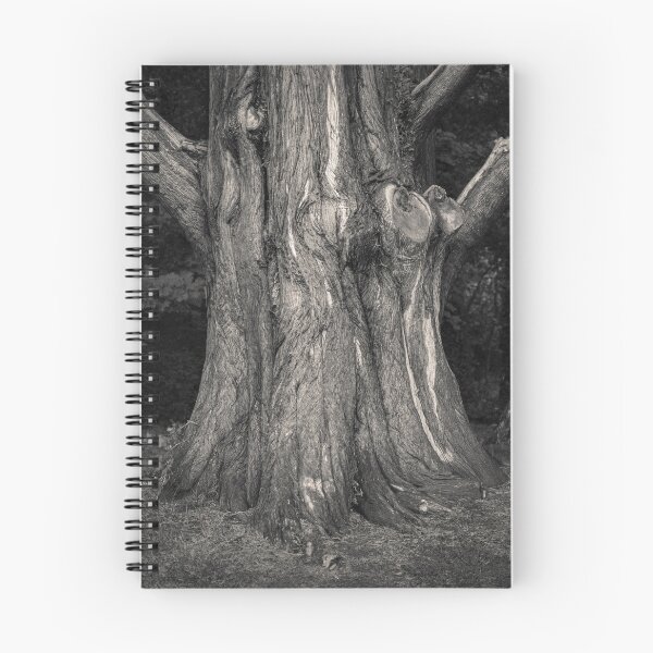 Item preview, Plas Newydd Tree designed and sold by David Bowman.