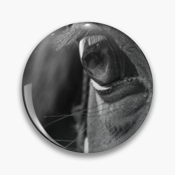 Item preview, Intense Horse Gaze in Black and White designed and sold by MurellosArt.