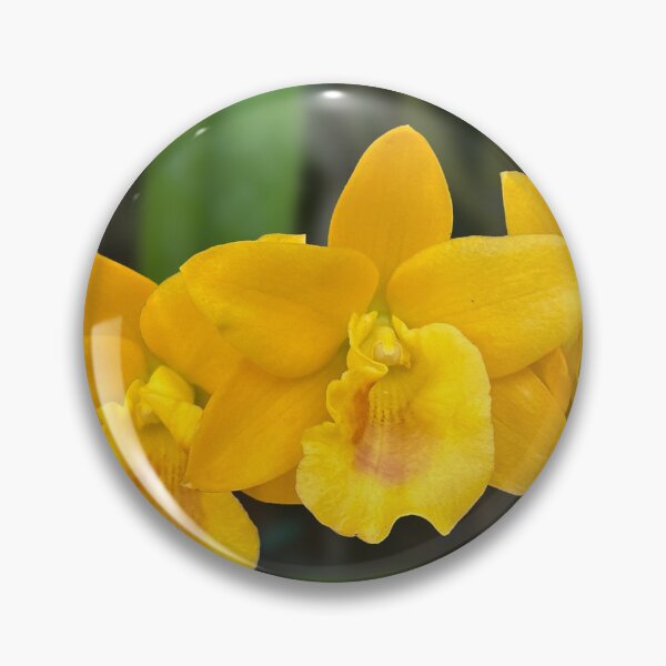 Item preview, Vibrant Yellow Orchid Trio,Tropical Gold Orchid Photography,cattleya, oncidium, dendrobium designed and sold by PorRayong.