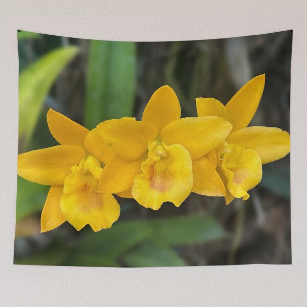 Item preview, Vibrant Yellow Orchid Trio,Tropical Gold Orchid Photography,cattleya, oncidium, dendrobium designed and sold by PorRayong.