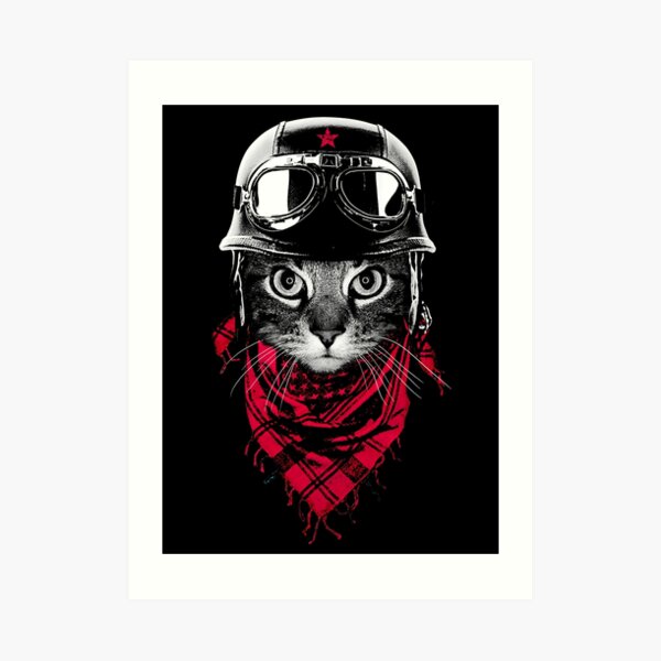Adventurer Cat Art Print