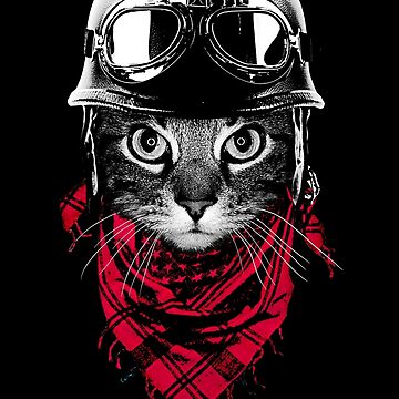 Artwork thumbnail, Adventurer Cat by clingcling