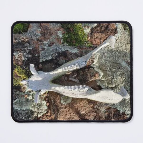 Item preview, Boar jaw  designed and sold by Roadsock.