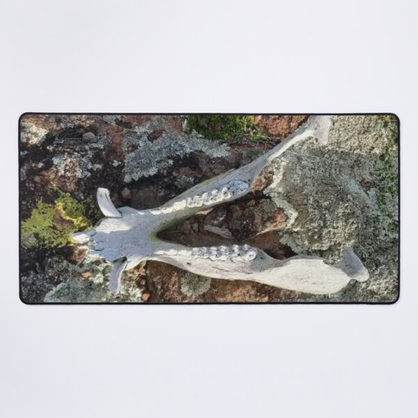 Item preview, Boar jaw  designed and sold by Roadsock.