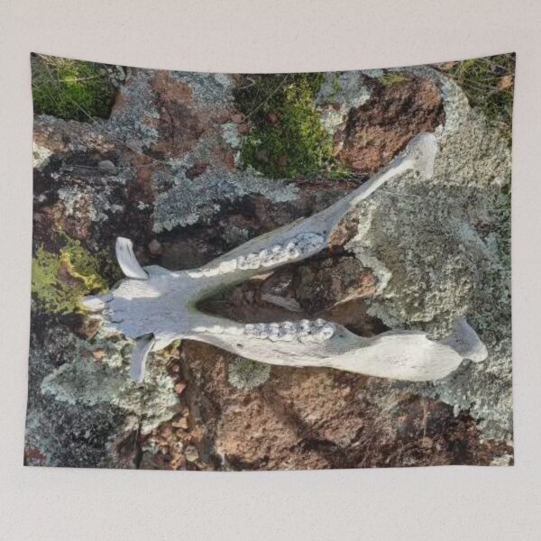 Item preview, Boar jaw  designed and sold by Roadsock.