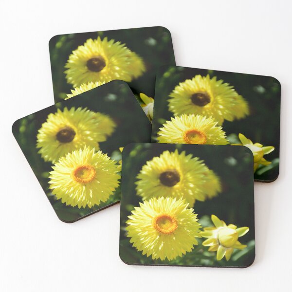 Item preview, Vibrant Yellow Flowers in Bloom designed and sold by MercerImages.