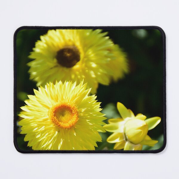 Item preview, Vibrant Yellow Flowers in Bloom designed and sold by MercerImages.