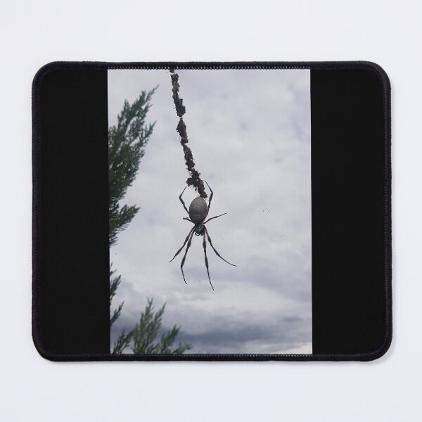 Item preview, Orb weaver designed and sold by Roadsock.
