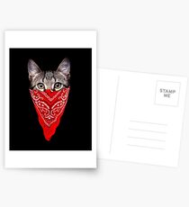 Gangster Cat Postcards