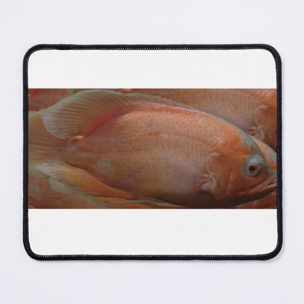 Item preview, Big fish designed and sold by Roadsock.