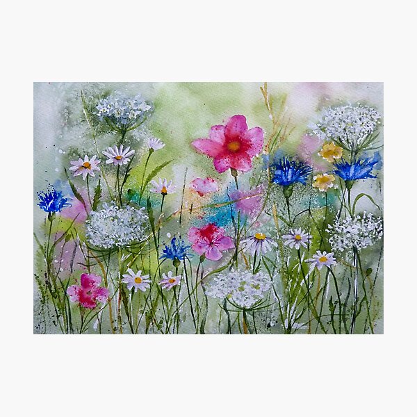 Meadow Flowers Photographic Print