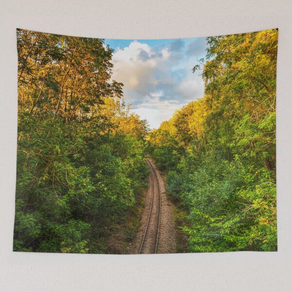 Item preview, Skipton, Airedale Line Railway Path Through Lush Forest designed and sold by Paul Thompson Photography.