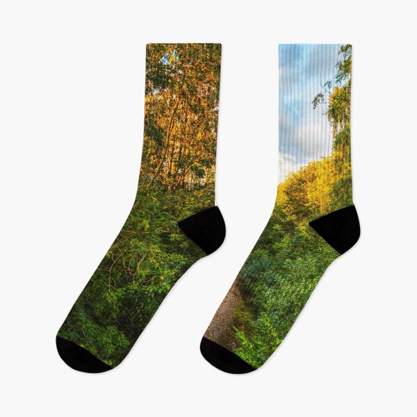 Item preview, Skipton, Airedale Line Railway Path Through Lush Forest designed and sold by Paul Thompson Photography.