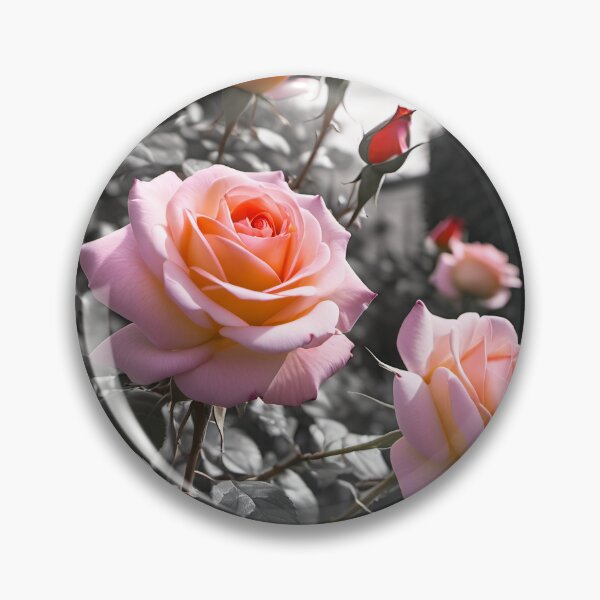 Item preview, Roses in bloom designed and sold by purelightimages.