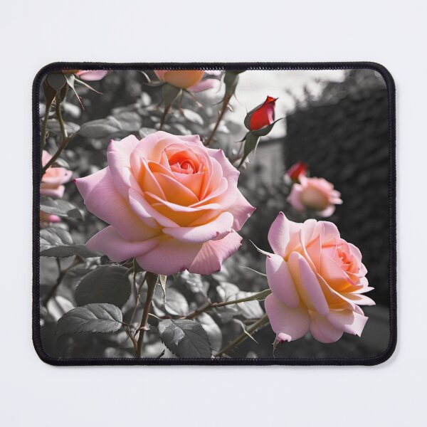 Item preview, Roses in bloom designed and sold by purelightimages.