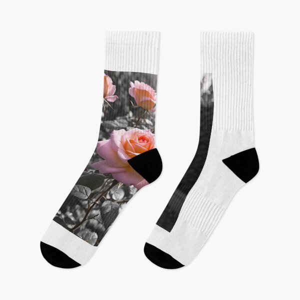 Item preview, Roses in bloom designed and sold by purelightimages.