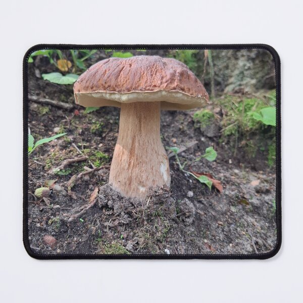 Item preview, King of mushrooms designed and sold by ShopikArt.