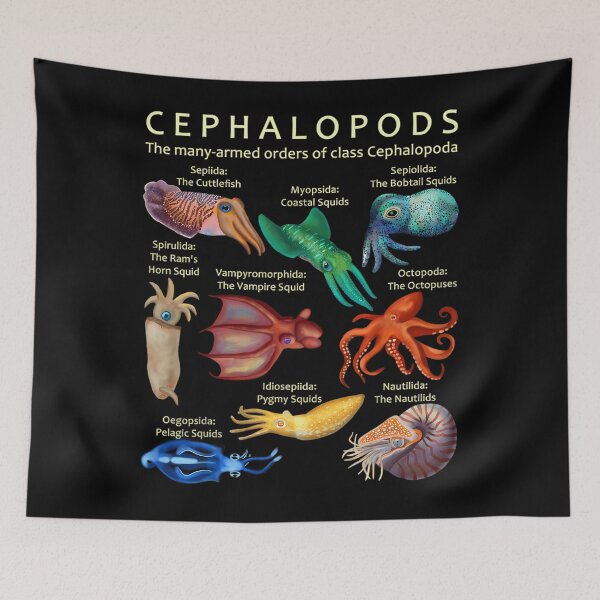 Item preview, The Cephalopod Octopus	 designed and sold by smtbnjgjgg70.