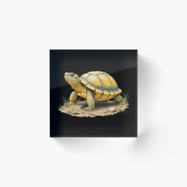 Item preview, Tortuga de río – Ilustración a lápiz de color dibujada a mano | Regalo ecológico de arte de vida silvestre designed and sold by BloomStudio1.