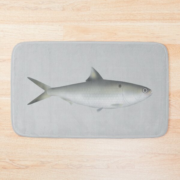 Item preview, Hilsa Shad designed and sold by fishfolkart.